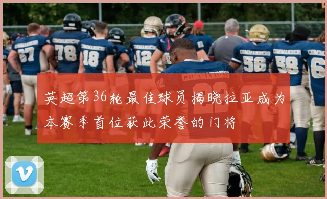 英超第36轮最佳球员揭晓拉亚成为本赛季首位获此荣誉的门将