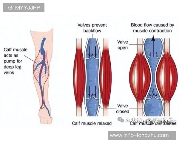 阿拉巴因右小腿比目鱼肌超负荷伤情将缺席比赛7到10天